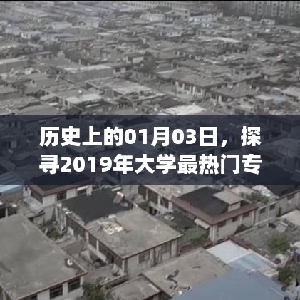 探寻2019年大学热门专业变迁,历史视角下的专业变迁解析