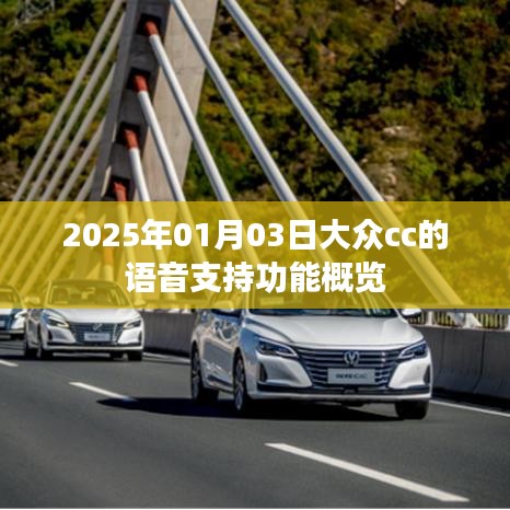 大众CC语音支持功能概览(2025年1月3日更新)