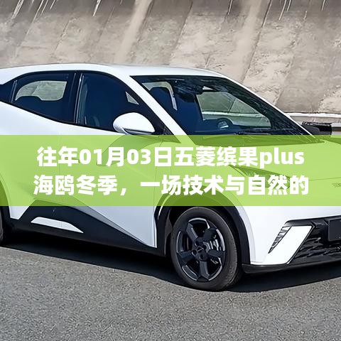 五菱缤果plus冬季技术展，自然与技术的融合之旅