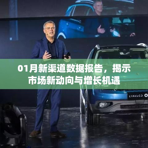 市场新动向与增长机遇,一月份新渠道数据报告揭秘