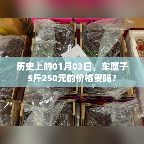 历史车厘子价格解析,一月三日,五斤售价250元是否贵?