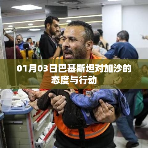 巴基斯坦对加沙的态度与行动,最新报道及分析