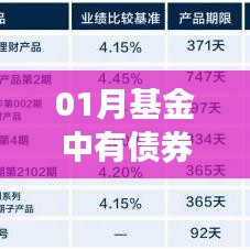 基金中是否包含债券？深度解析！