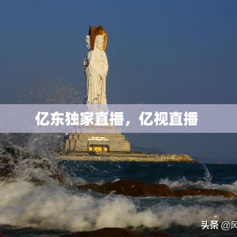 亿东独家直播,亿视直播