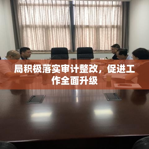 局积极落实审计整改，促进工作全面升级