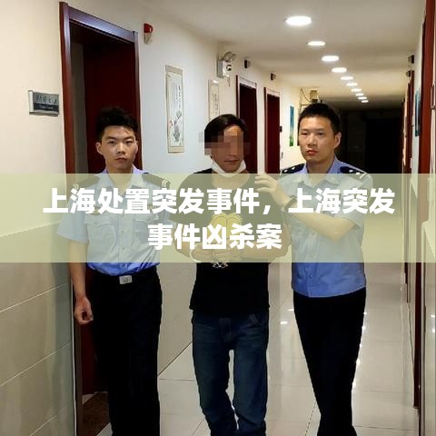 上海处置突发事件,上海突发事件凶杀案