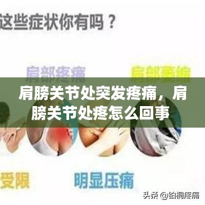 机械设备回收 第144页