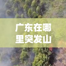 广东在哪里突发山火，广东近期山火 