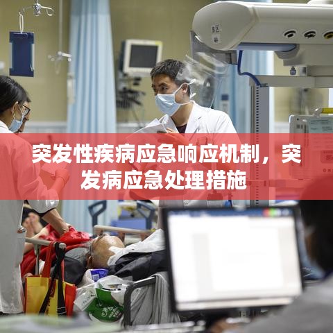 突发性疾病应急响应机制,突发病应急处理措施