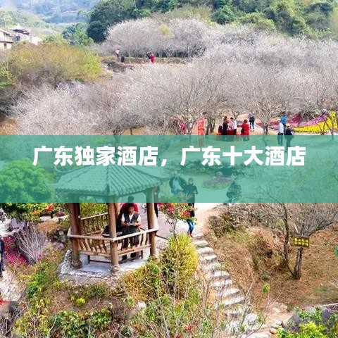 广东独家酒店，广东十大酒店 