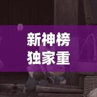 新神榜独家重生，重塑传奇辉煌篇章，不容错过的精彩内容！