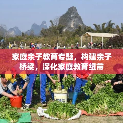 家庭亲子教育专题，构建亲子桥梁，深化家庭教育纽带