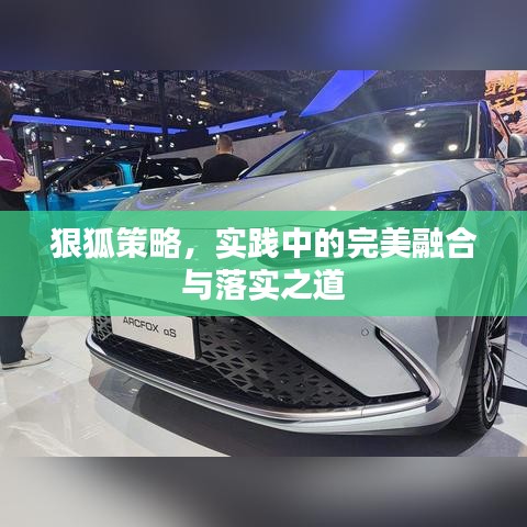 狠狐策略,实践中的完美融合与落实之道