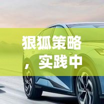 狠狐策略,实践中的完美融合与落实之道