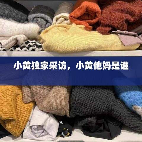 小黄独家采访，小黄他妈是谁 