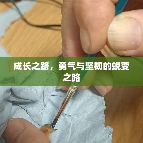 成长之路,勇气与坚韧的蜕变之路