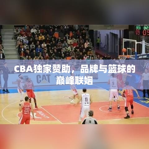 CBA独家赞助,品牌与篮球的巅峰联姻