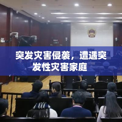 突发灾害侵袭,遭遇突发性灾害家庭