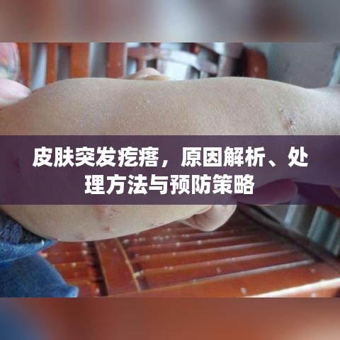 皮肤突发疙瘩,原因解析、处理方法与预防策略