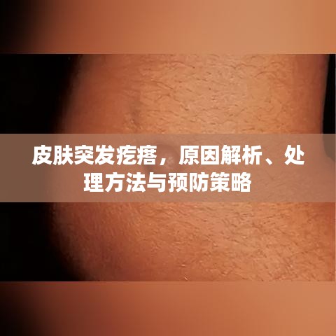 皮肤突发疙瘩,原因解析、处理方法与预防策略