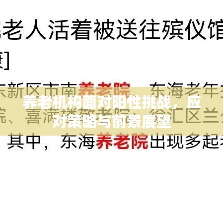 养老机构面对阳性挑战,应对策略与前景展望