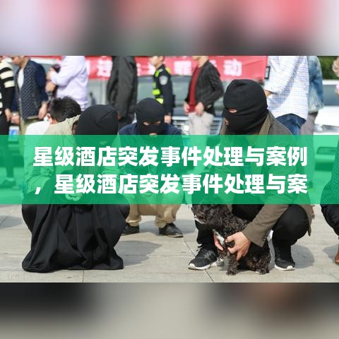 星级酒店突发事件处理与案例,星级酒店突发事件处理与案例分析