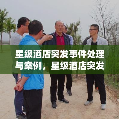 星级酒店突发事件处理与案例,星级酒店突发事件处理与案例分析