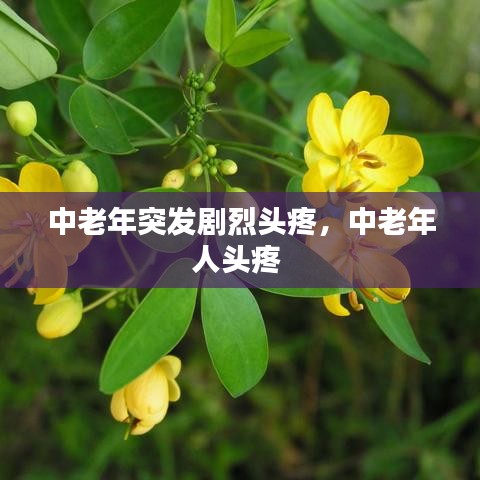 中老年突发剧烈头疼，中老年人头疼 
