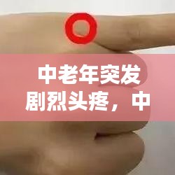 葫芦app商城官方下载跟贸易类手游_状况分析解析说明_入门版_v10.697