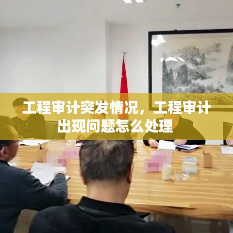 工程审计突发情况，工程审计出现问题怎么处理 