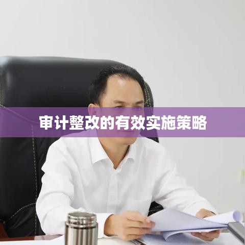 审计整改的有效实施策略