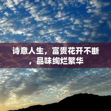 诗意人生，富贵花开不断，品味绚烂繁华