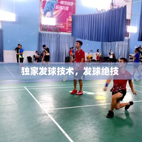 独家发球技术,发球绝技