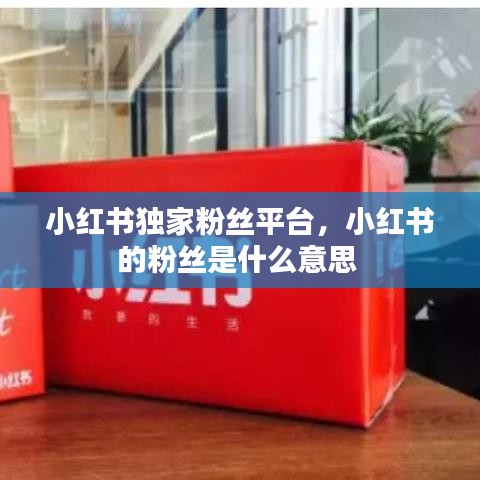小红书独家粉丝平台，小红书的粉丝是什么意思 