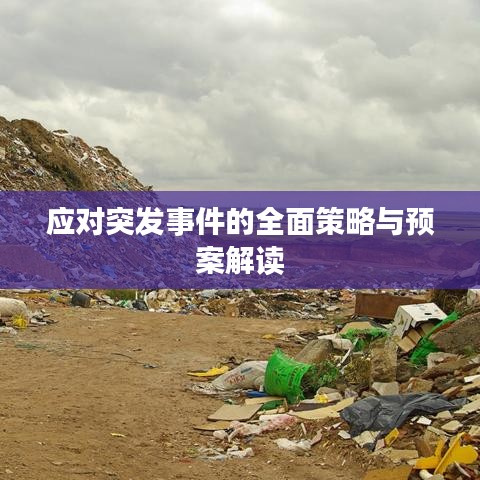 应对突发事件的全面策略与预案解读