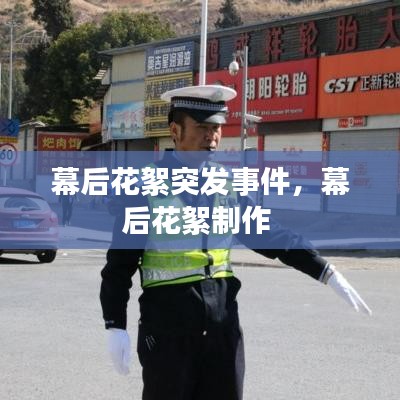 幕后花絮突发事件，幕后花絮制作 