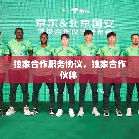 独家合作服务协议，独家合作伙伴 