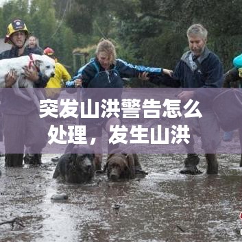 突发山洪警告怎么处理，发生山洪 