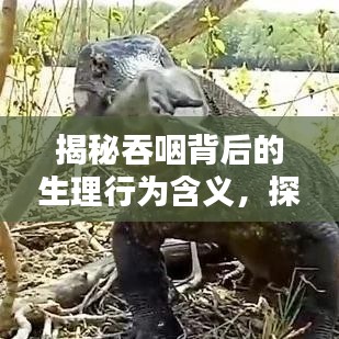 电线电缆回收 第134页