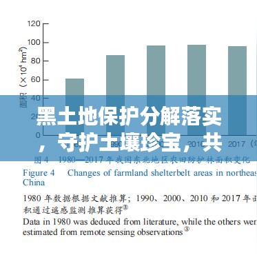 黑土地保护分解落实，守护土壤珍宝，共筑生态安全屏障