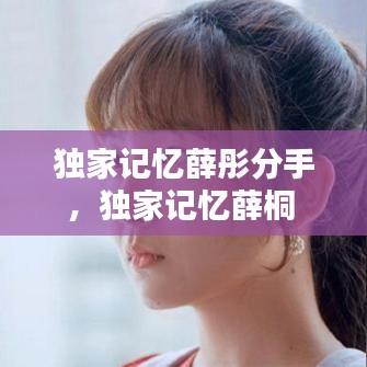 独家记忆薛彤分手,独家记忆薛桐