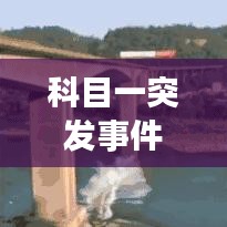 科目一突发事件应对教程，实操指南与视频教学助你轻松应对突发状况！