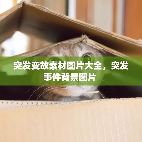 突发变故素材图片大全，突发事件背景图片 