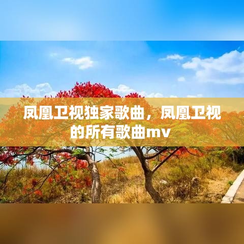 凤凰卫视独家歌曲,凤凰卫视的所有歌曲mv