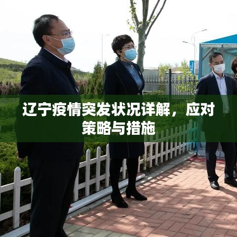 辽宁疫情突发状况详解,应对策略与措施