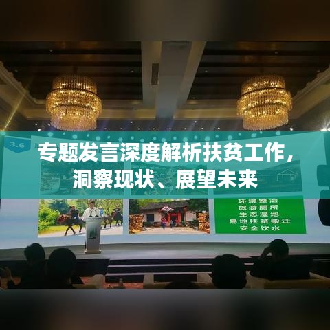 专题发言深度解析扶贫工作，洞察现状、展望未来