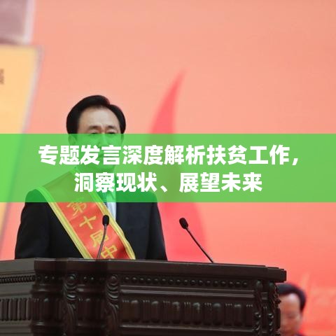 专题发言深度解析扶贫工作,洞察现状、展望未来