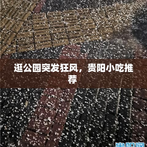 逛公园突发狂风，贵阳小吃推荐 