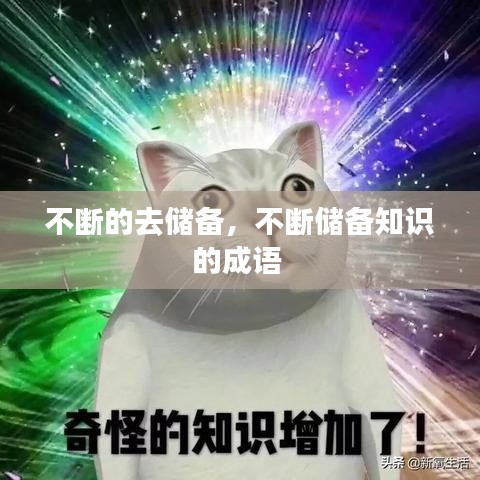不断的去储备,不断储备知识的成语