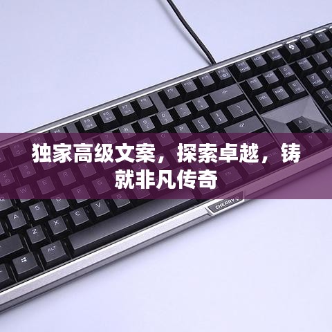 独家高级文案，探索卓越，铸就非凡传奇